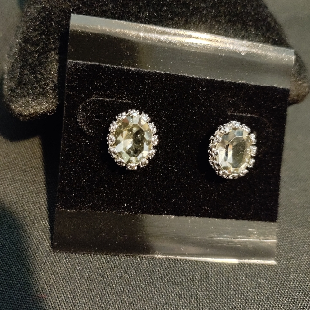Electroplated Earrings